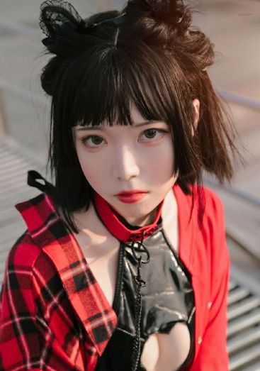 军犬麦克斯